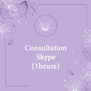 Consultation Skype (1 heure)